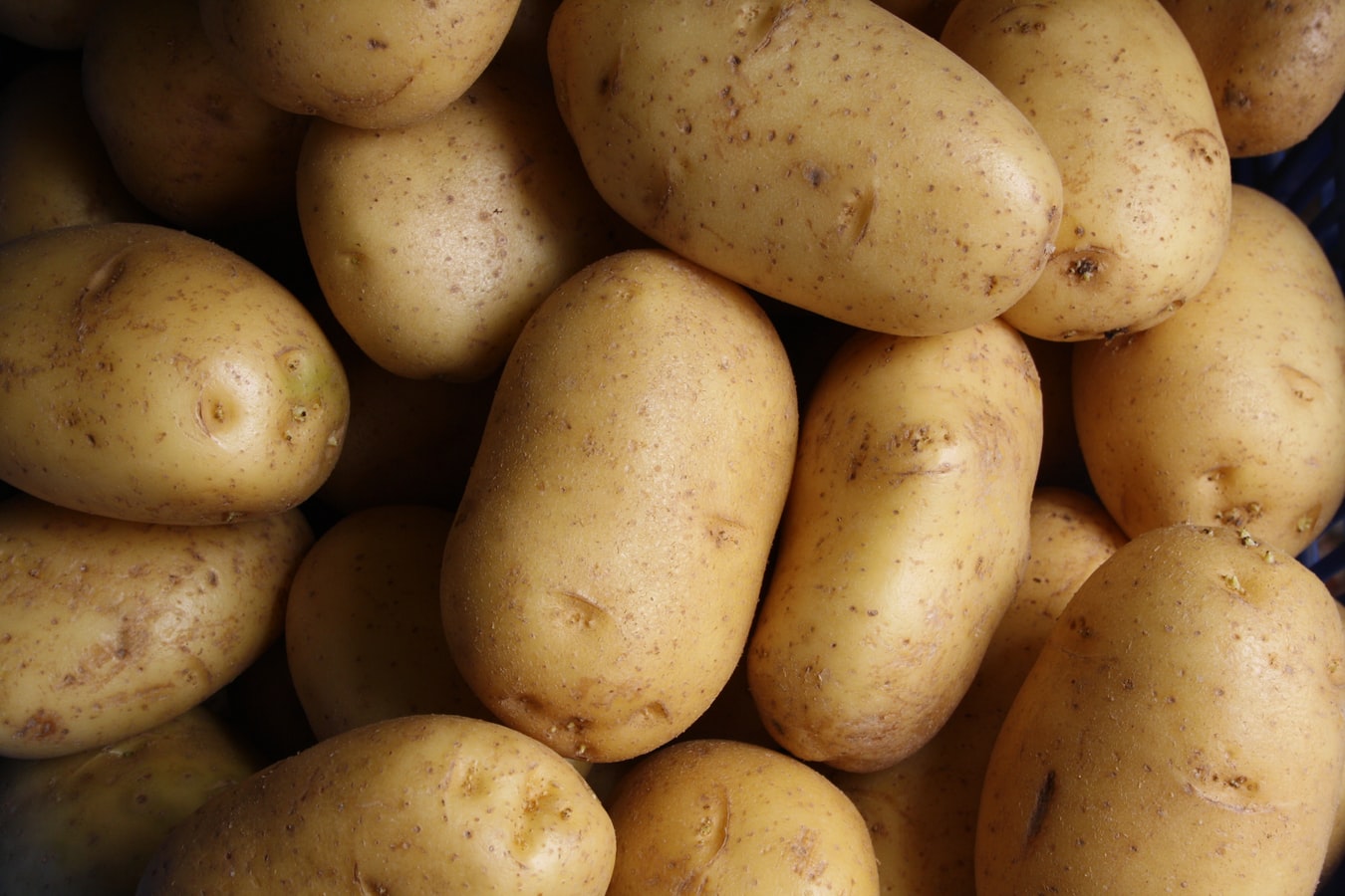 Est-il possible de sceller les pommes de terre sous vide ? - Restaurant